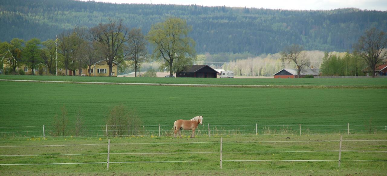 Vallby Farm Camp Örebro Exteriér fotografie